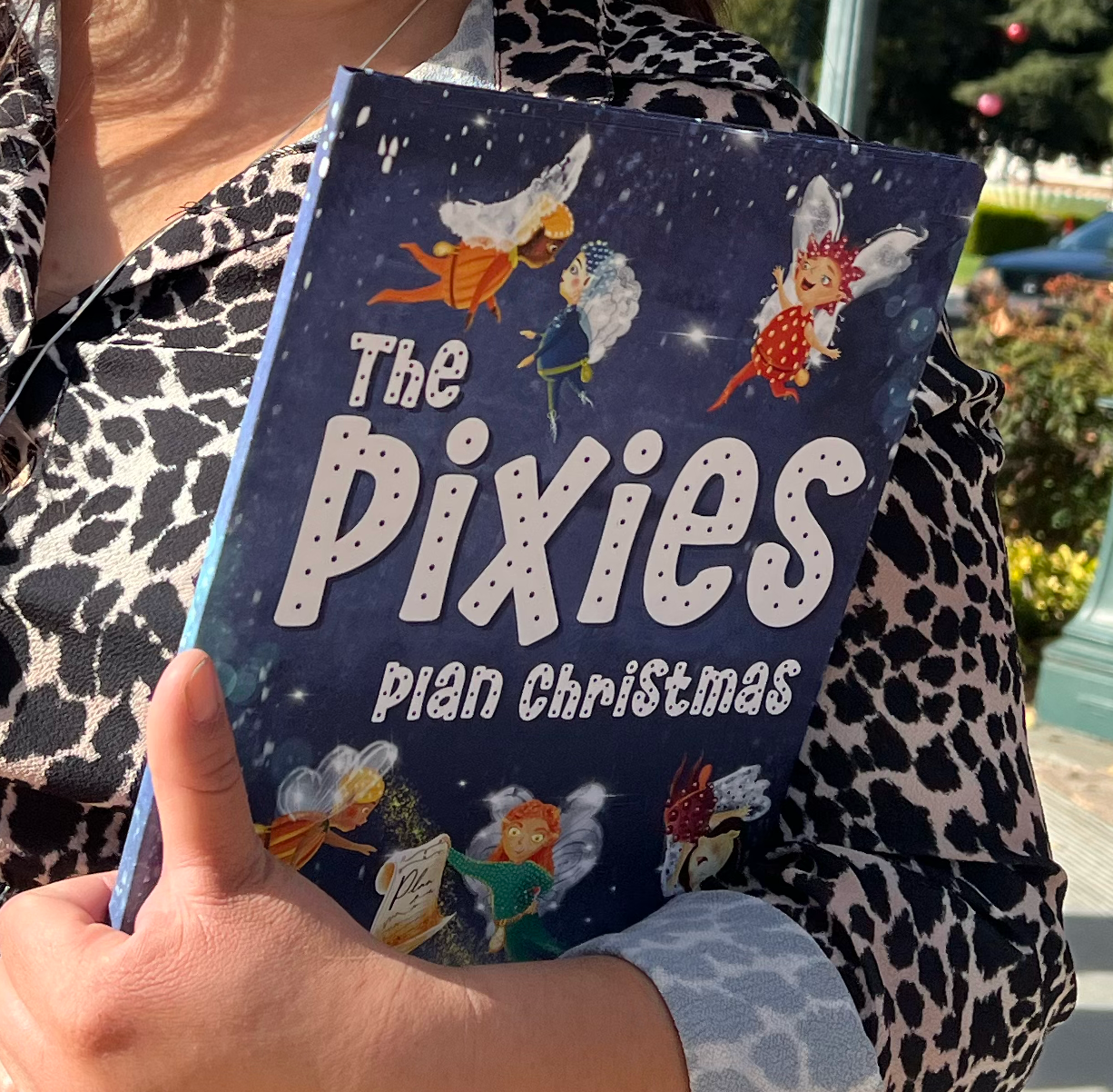 LIMITED EDITION HARDBACK: The Pixies Plan Christmas